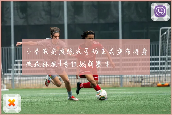 小香农更换球衣号码正式宣布将身披森林狼4号征战新赛季